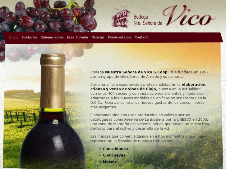 www.bodegavico.com