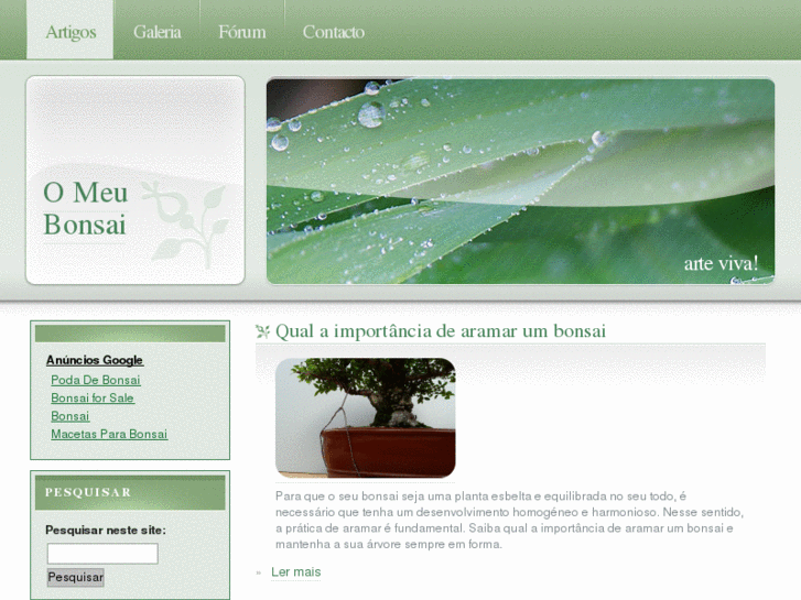 www.omeubonsai.com