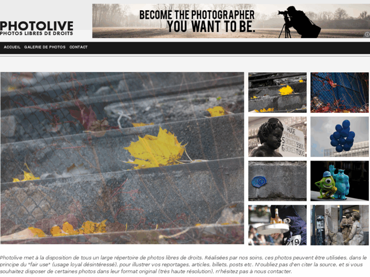 www.photolive.be