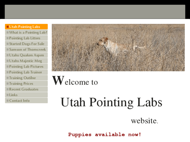 www.utahpointinglabs.com