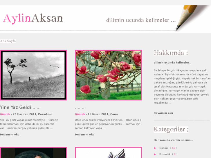 www.aylinaksan.com