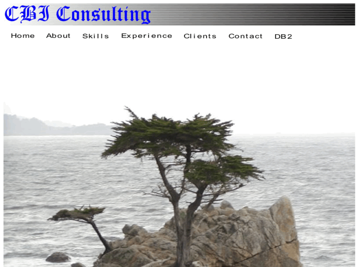 www.cbiconsulting.com