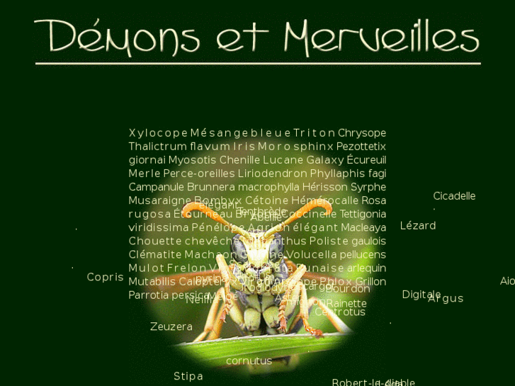 www.demons-et-merveilles.fr