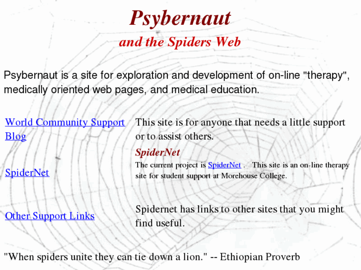 www.psybernaut.com