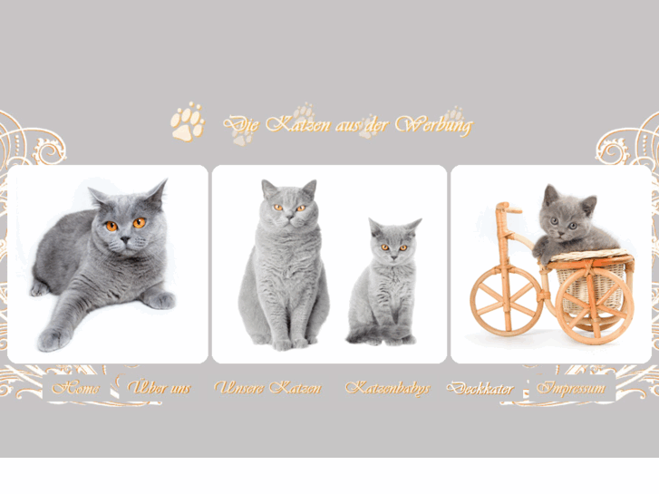 www.die-katzen-aus-der-werbung.de