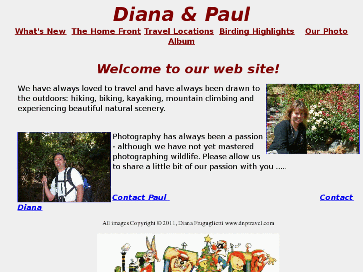 www.dnptravel.com