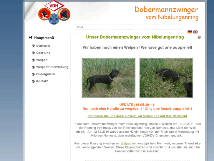 www.dobermann-nibelungenring.com