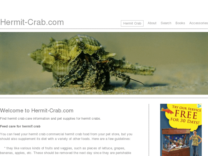 www.hermit-crab.com