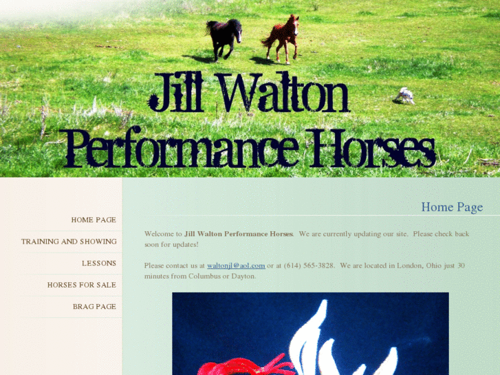 www.jillwaltonhorses.com