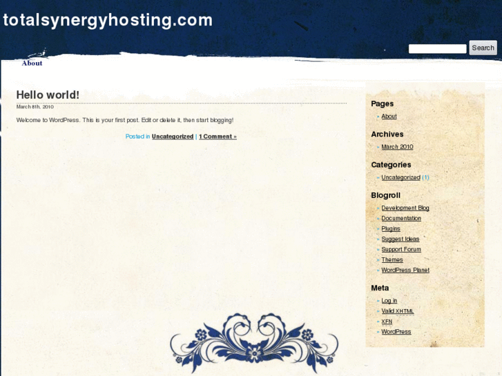 www.totalsynergyhosting.com