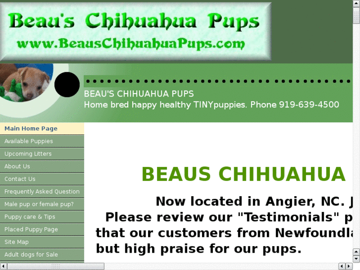 www.beauschihuahuapups.com