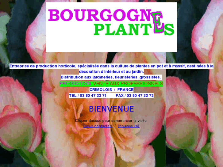 www.bourgogneplantes.com