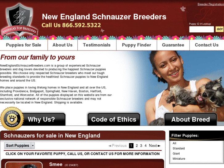 www.newenglandschnauzerbreeders.com