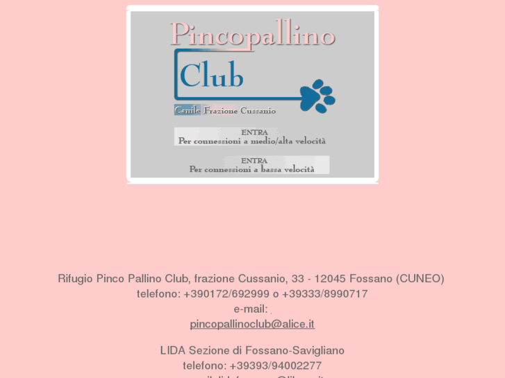 www.pincopallinoclub.org