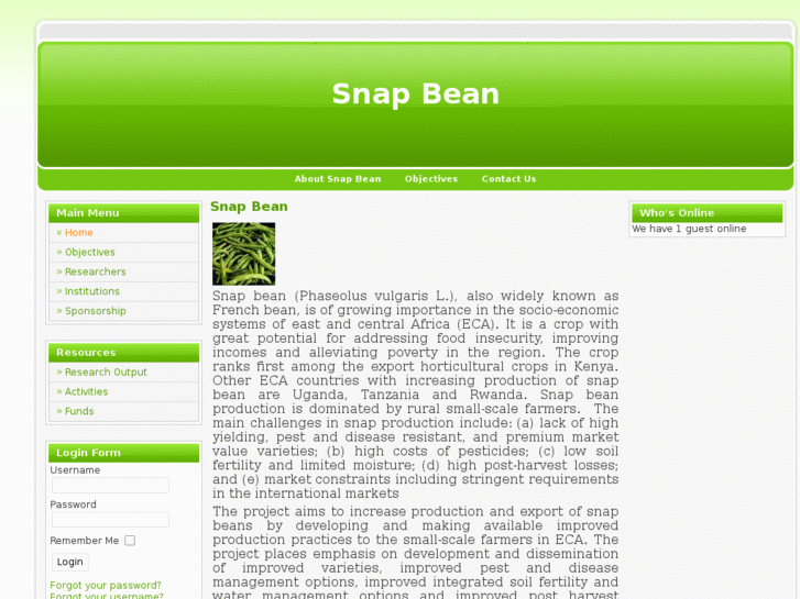 www.snapbeans.org