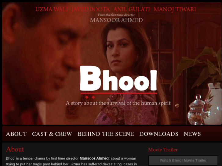 www.bhoolmovie.com