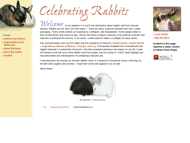 www.celebratingrabbits.com