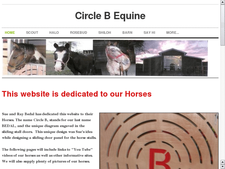 www.circlebequine.com