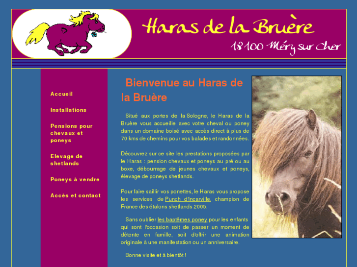 www.haras-bruere.com