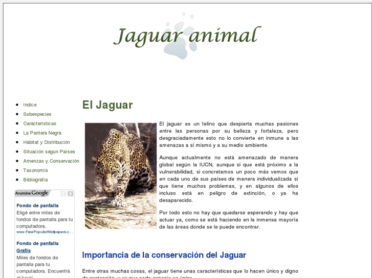 www.jaguaranimal.org