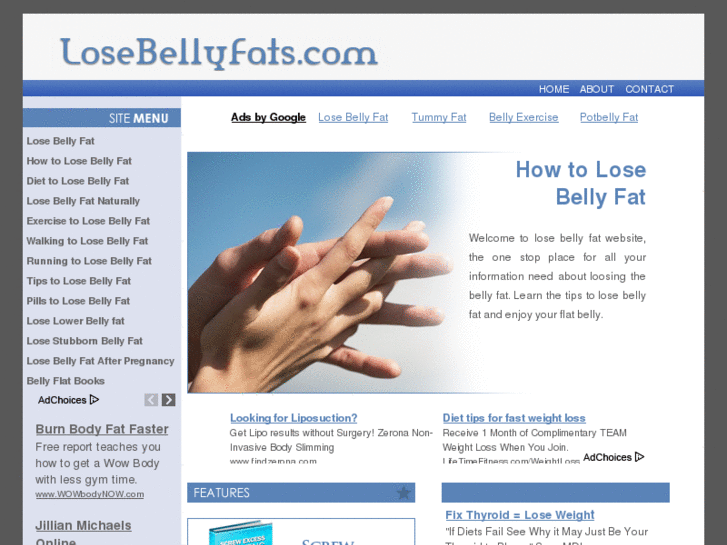 www.losebellyfats.com