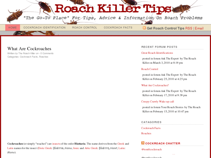 www.roach-killer-tips.com