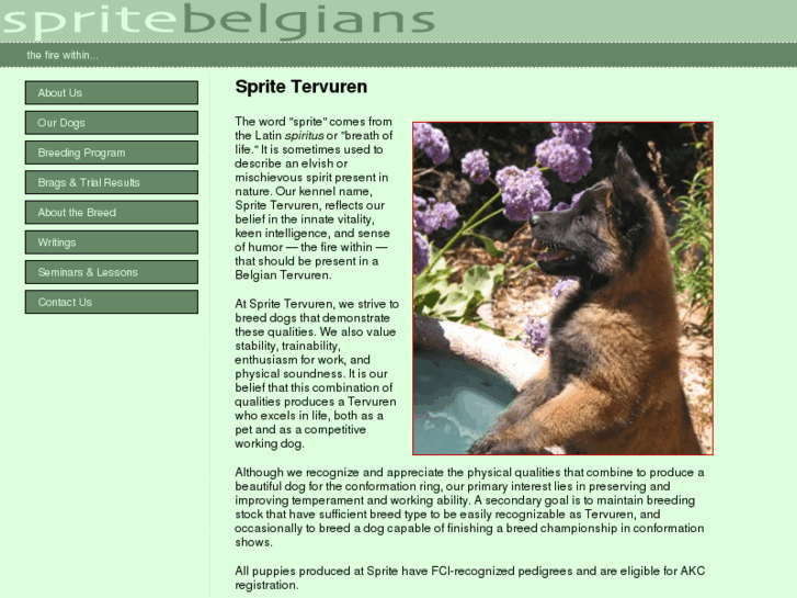 www.spritebelgians.com