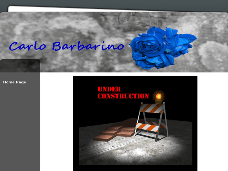 www.carlobarbarino.com