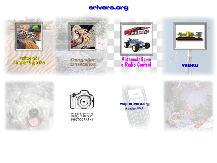 www.erivera.org
