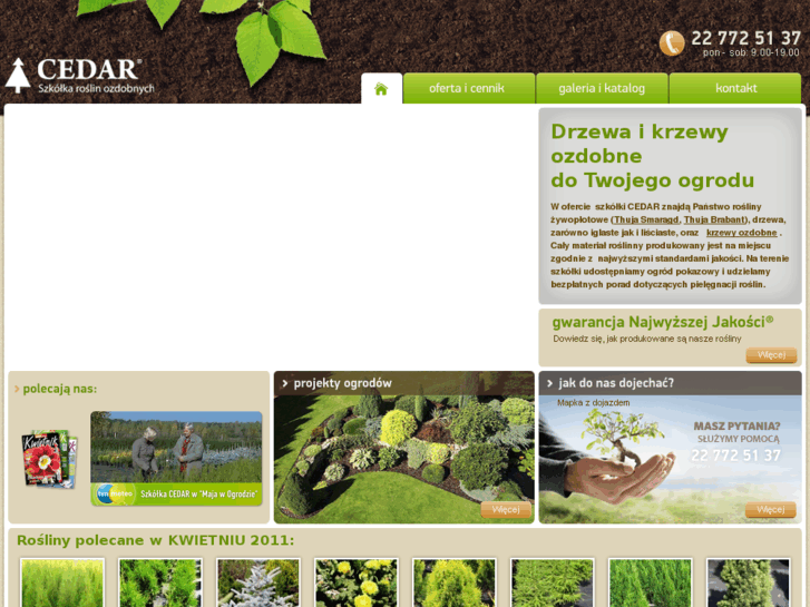 www.krzewycedar.pl