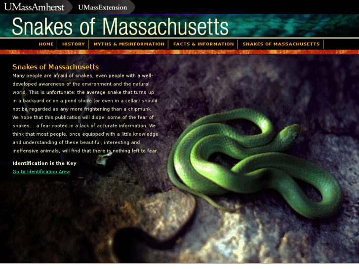 www.masnakes.org