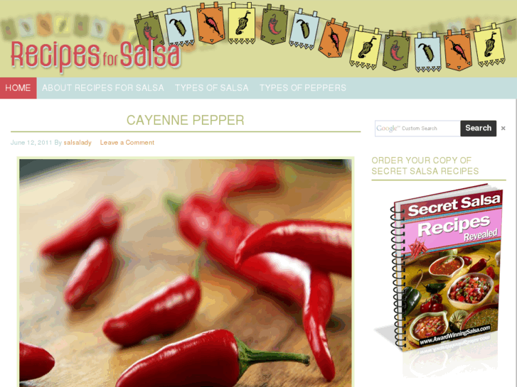 www.recipesforsalsa.com