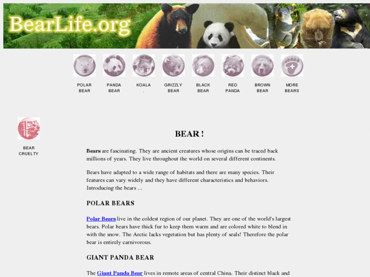 www.bearlife.org