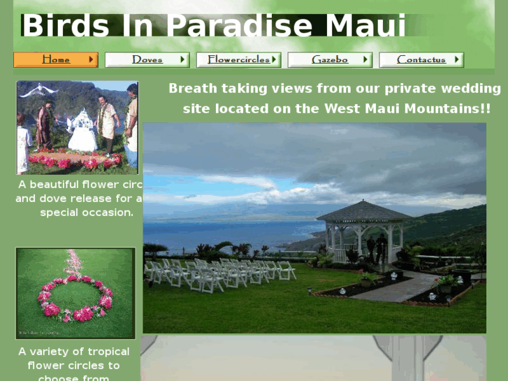 www.birdsinparadisemaui10mile.com