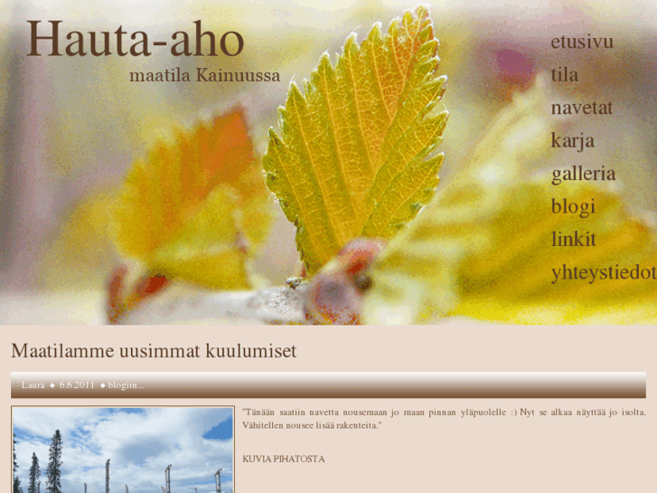 www.hauta-aho.com