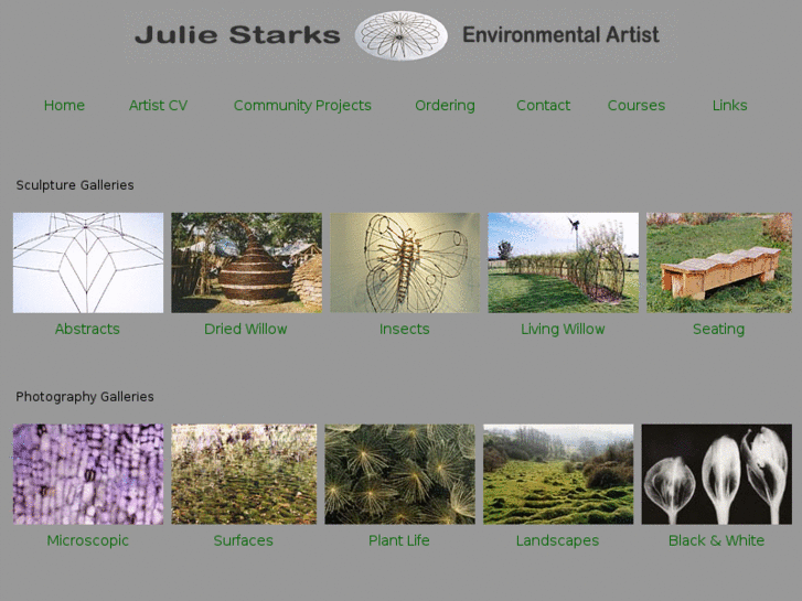 www.juliestarks.com