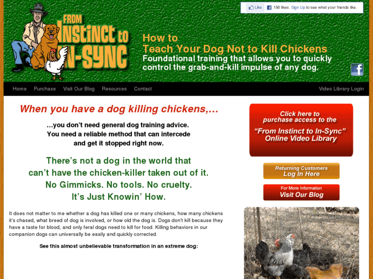 www.stopchickenkillerdogs.com