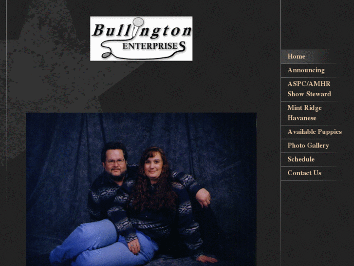 www.bullingtonenterprises.com