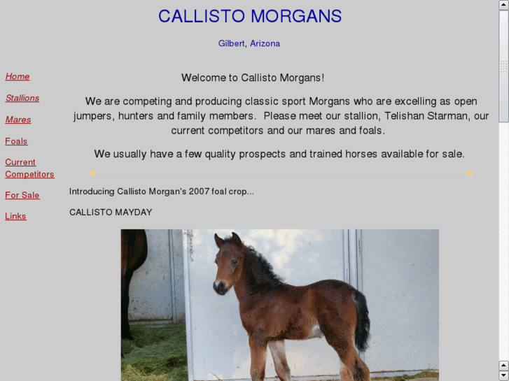 www.callistomorgans.com