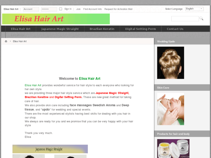 www.elisahairart.com