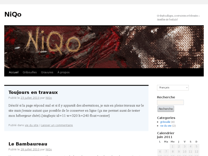 www.niqo.org