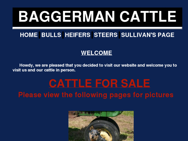 www.baggermancattle.com