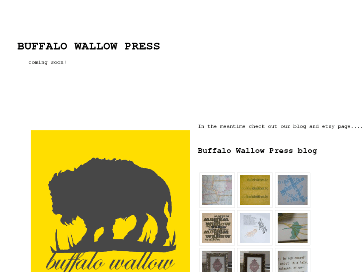 www.buffalowallowpress.com