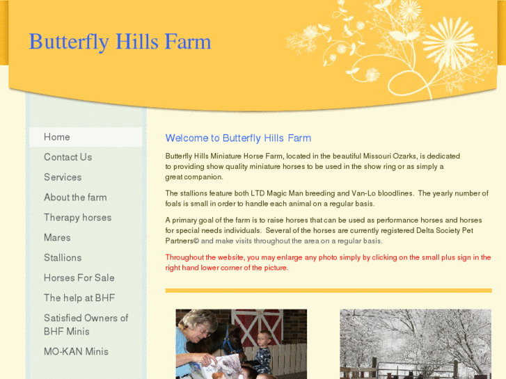 www.butterflyhillsfarm.com