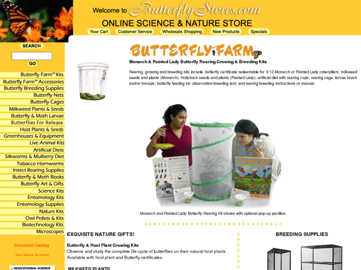 www.butterflystores.com