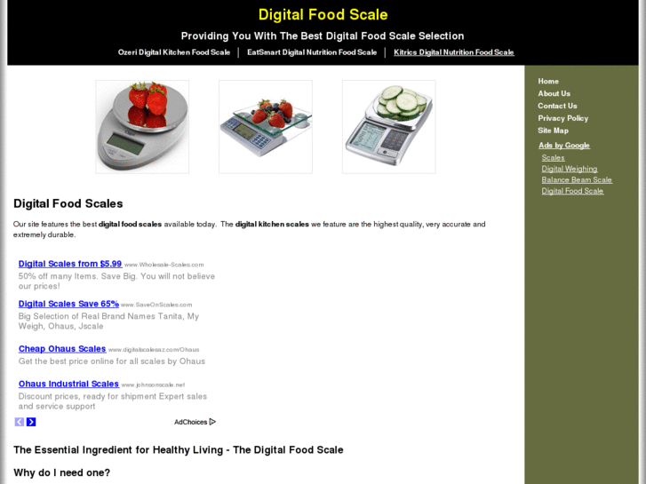 www.digitalfoodscaleshop.com