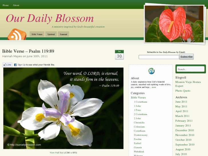 www.ourdailyblossom.com