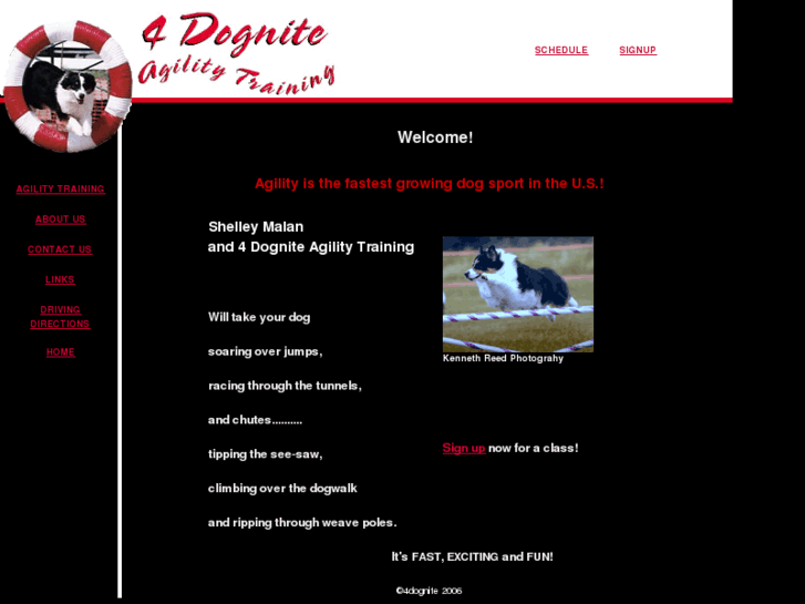 www.4dognite.com