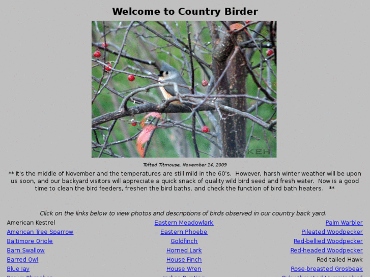 www.countrybirder.com