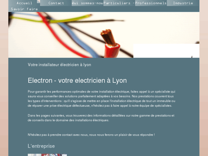 www.electricitelyon.com